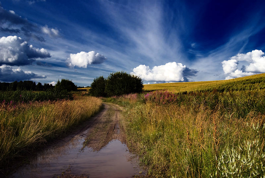 Country road