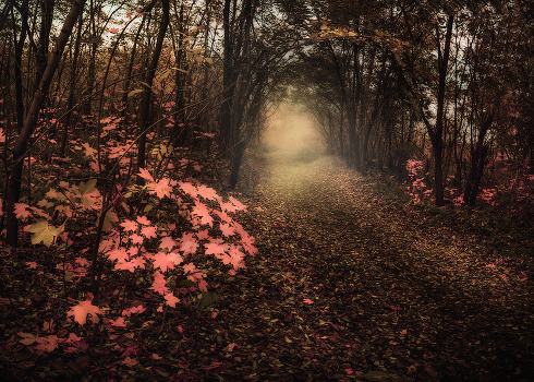 The road to autumn
