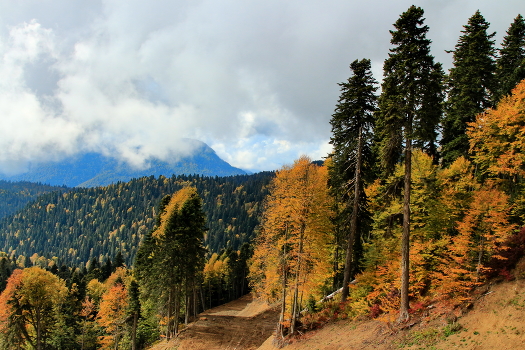 Autumn in the mountains