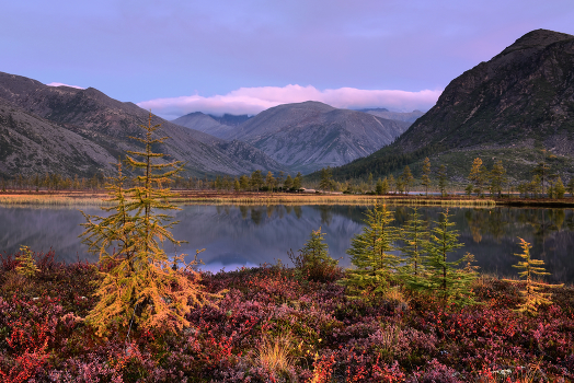 September Morning