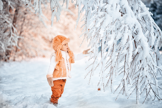 The Winter's Tale
