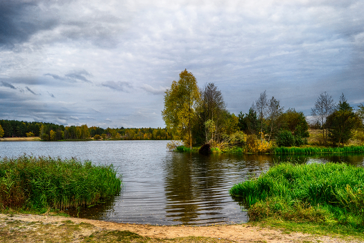 лесное озеро Клинцы
