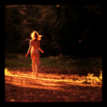 Sunlight spot