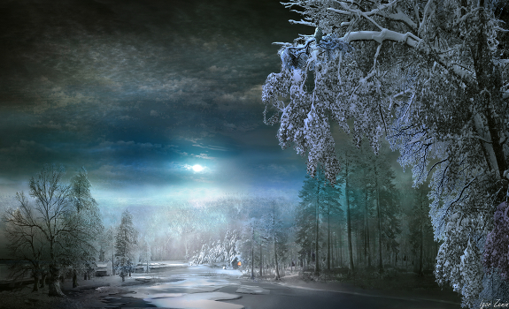 Moonlight night