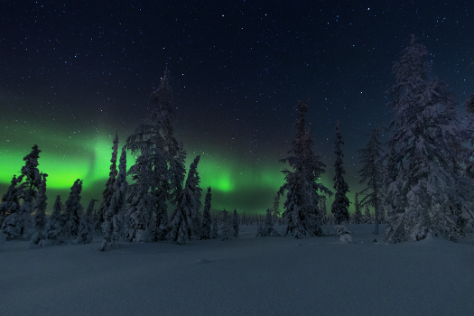 "Aurora"
