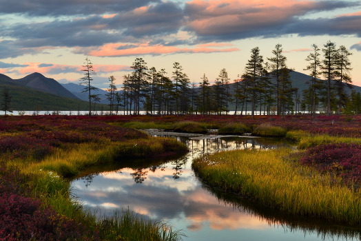 Evening of September