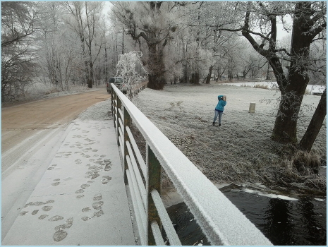 Bridge