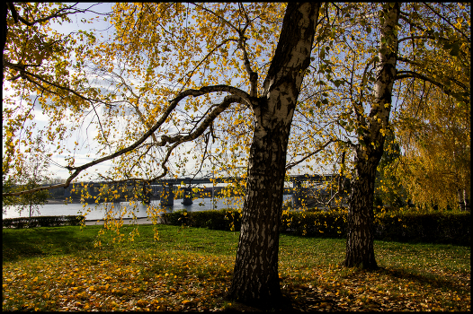 Autumn sketches