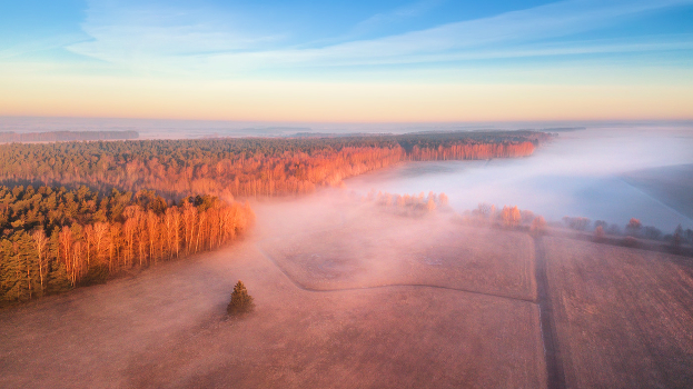 March Fog