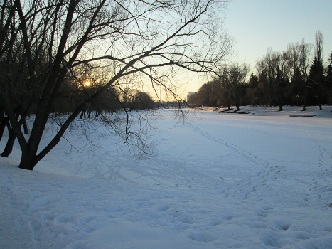 В лучах солнца