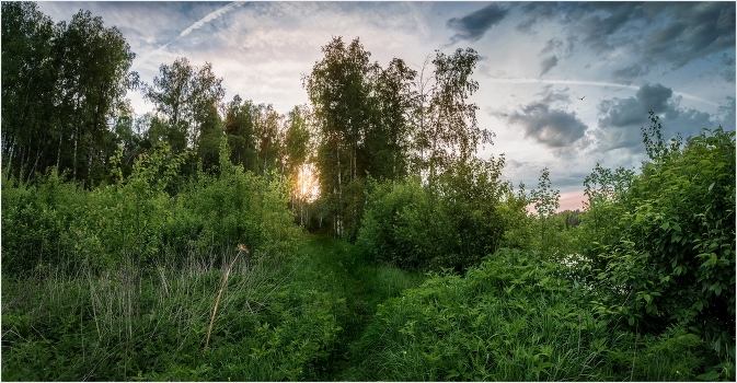 Pathway to the sun