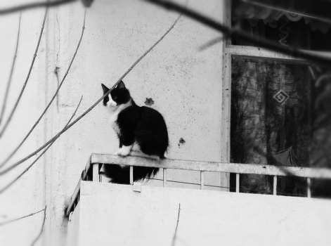 Waiting for Spring