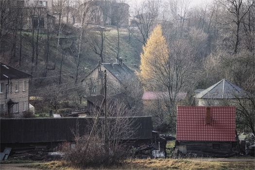 suburban landscape