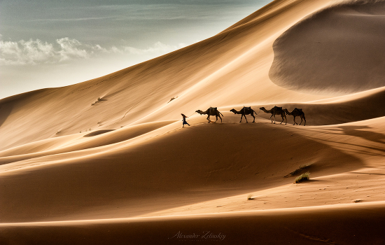 Sahara