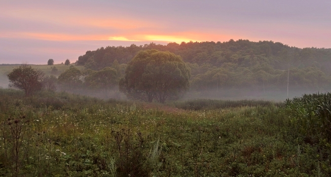 Morgennebel