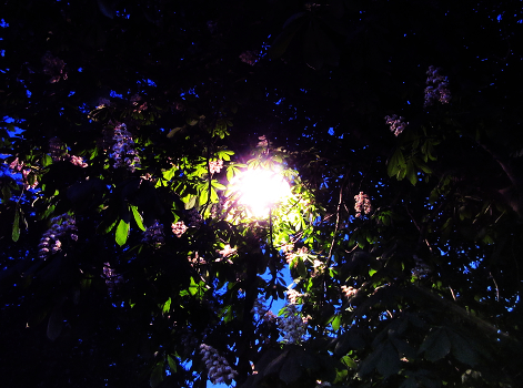 Mai-Abend