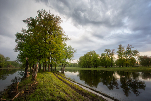 Before the rain