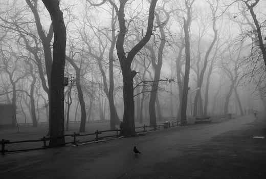 November