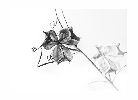 lines and shapes