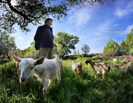 Shepherdess