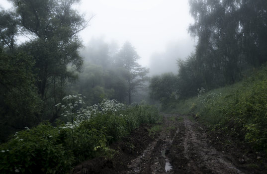 After the rain