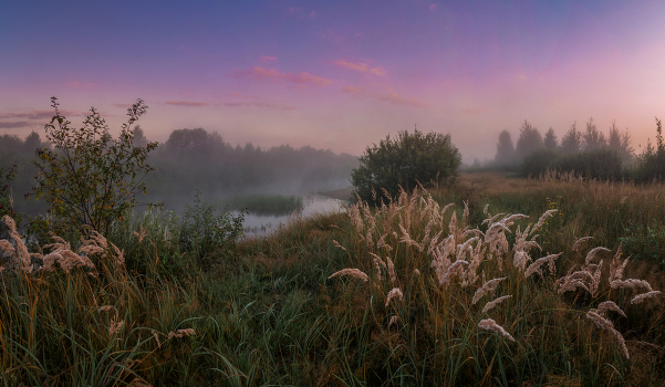 Dawn