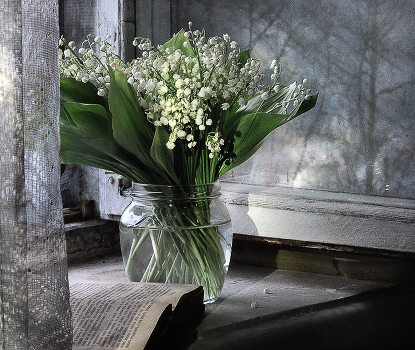 Lilies of the valley