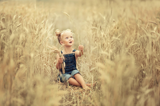 The smell of summer