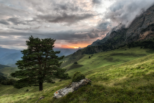 Last Rays