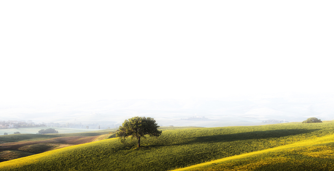 Foggy morning in Tuscany