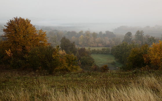 Autumn