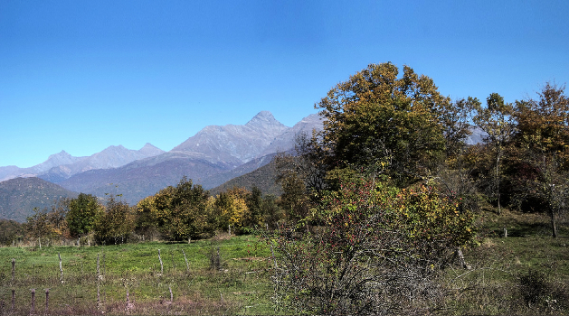 Autumn in the mountains