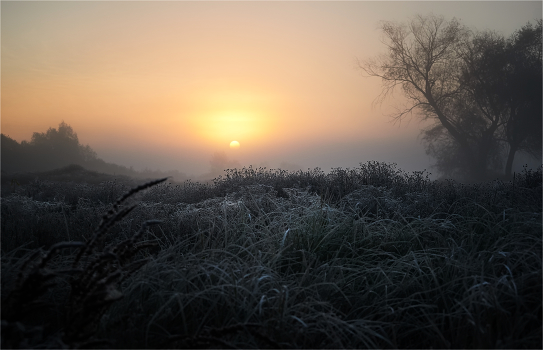 Meeting the dawn ...