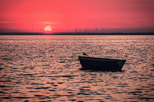 it was the evening