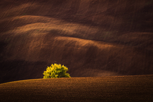 Moravian sunset