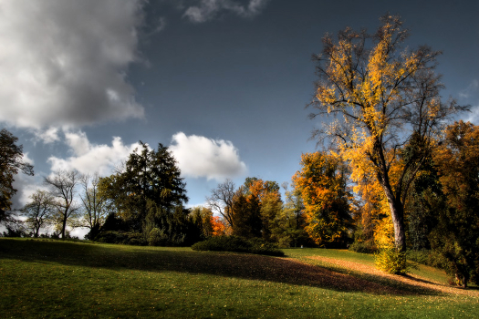 Old Park 02