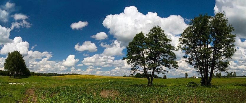 Panorama