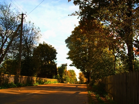 Autumn on the village street
