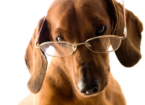 Intellectual