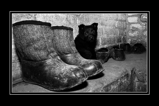 In Cloche is galoshes ...