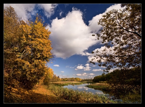 gold autumn