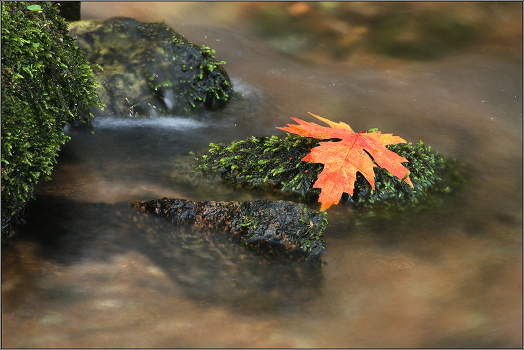 Departuring Fall