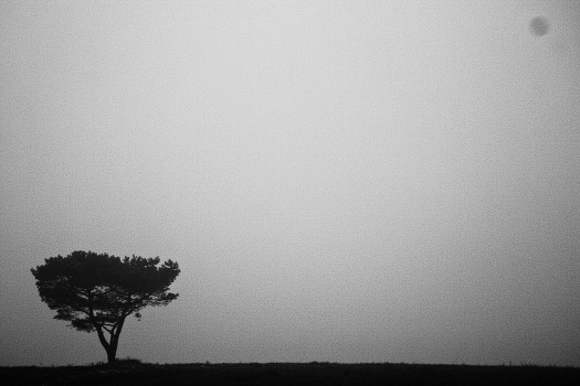 Foggy twice odinochesvo
