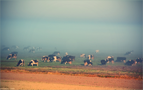 Early morning ...