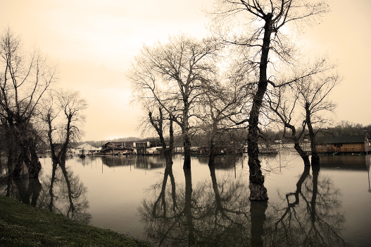 flood