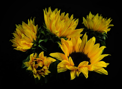 Bouquet