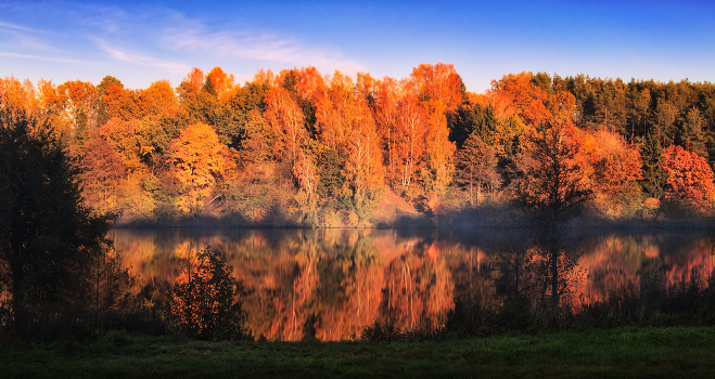 Reflection of autumn