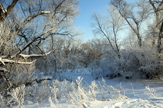 Winter