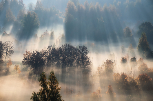 autumn morning