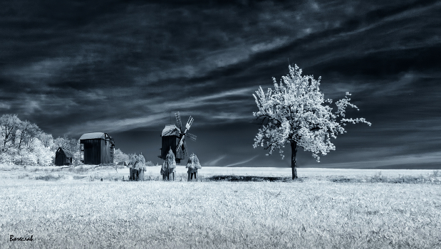 Black and white